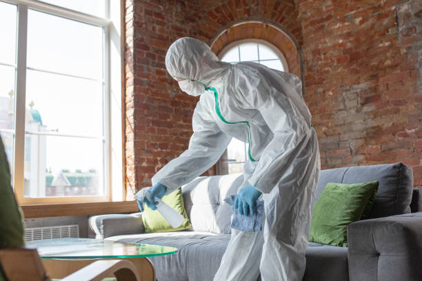 Why You Should Choose Our Mold Remediation Services in Sparkill, NY